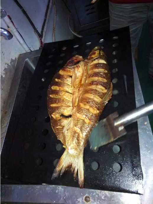 烤魚箱烤魚效果